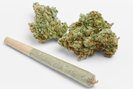 Gaia's Favor Medical Marijuana Dispensary photo