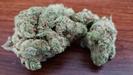 Gaia's Favor Medical Marijuana Dispensary photo