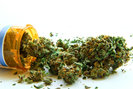 Gaia's Favor Medical Marijuana Dispensary photo