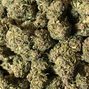 Green Plus OKC photo