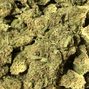 Green Plus - Midwest City photo
