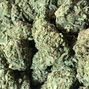 Green Plus - Midwest City photo