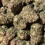 Green Plus - Midwest City photo