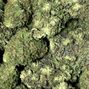 Green Plus - Midwest City photo