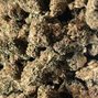 Green Plus - Midwest City photo