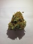 Green Plus - Moore photo