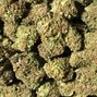 Green Plus - Ardmore photo