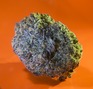 CK's Releaf RX photo
