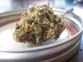 CK's Releaf RX photo