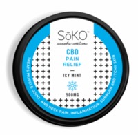 CBD Icy Mint Pain Relief Rub - 2oz - 500mg CBD image