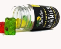 CBD GUMMIES BY PARADISE 250MG image