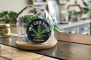 My CBD Shop photo