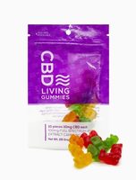 CBD Living Gummies Bag 100mg image