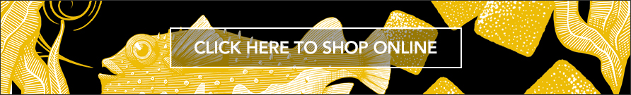 Where to buy NFuzed products