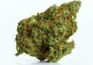 Cherry Wine CBD Hemp Flower (11.85% CBD) image