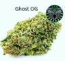 Oak Leaf Fine Cannabis photo