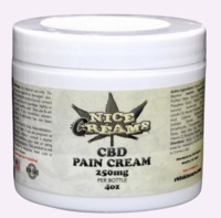 Nice Creams Pain Cream image
