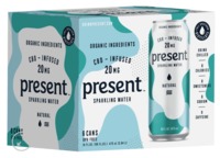 Natural Present CBD Infused Sparkling Water 6 Pack image
