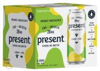 Lemon + Lime Present CBD Infused Sparkling Water 6 pack image