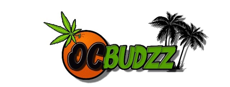OC BUDZZ logo