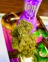 OC BUDZZ photo