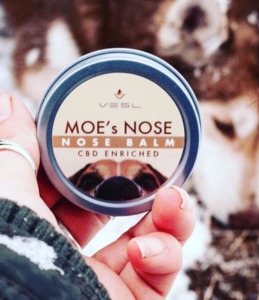 MOE's NOSE - Healing Nose Balm For Pets 50mg CBD image