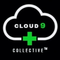 Cloud 9 - Arcadia logo