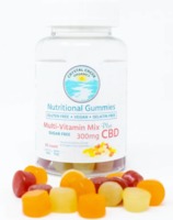 CBD Gummies Multi-Vitamin (Sugar Free) image