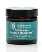 Muscle Recovery image