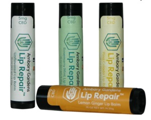 Lip Repair image