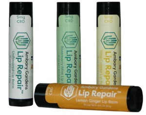 Lip Repair image