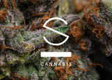 Stability Cannabis logo
