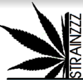 Strainzzz on Slauson logo