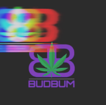 Bud Bum logo