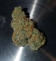 High Plainz Strains - Garden City photo