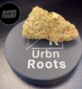 Urbn Roots Dispensary photo