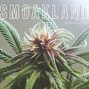 Smoakland Delivery photo