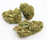 Sour Diesel image