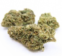 Jack Herer image