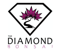 The Diamond Bonsai Delivery - Berkeley logo