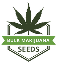 Bulk Marijuana Seeds logo