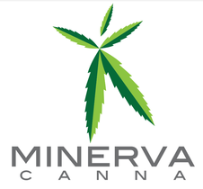 Minerva Canna  Langley logo