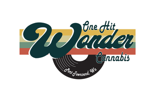 One Hit Wonder - Washington logo