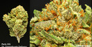Dr Greenthumb Delivery - Irvine photo
