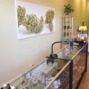 Herbal Remedies Denver photo