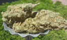 The Secret Stash photo