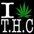 THC - The Healing Center logo