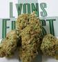 Lyons Finest Confidential Care photo