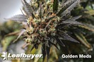 Golden Meds photo