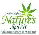 Nature's Spirit logo